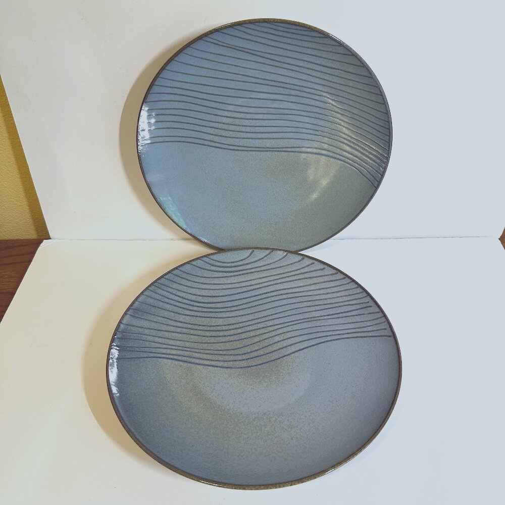 Lot of 2 Joseph Abboud Mediterranean Waves Stoneware 1032 11" Dinner Plates